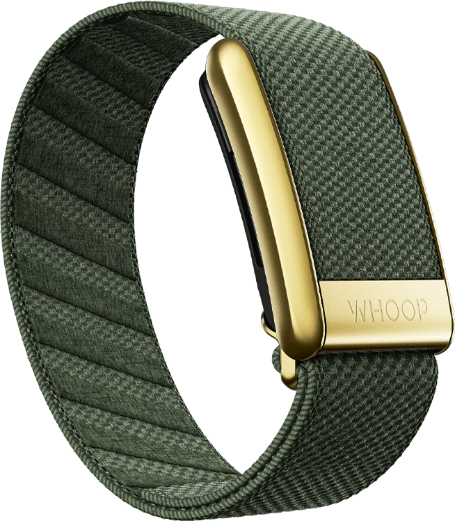 Ivy with Gold SuperKnit Luxe Bands