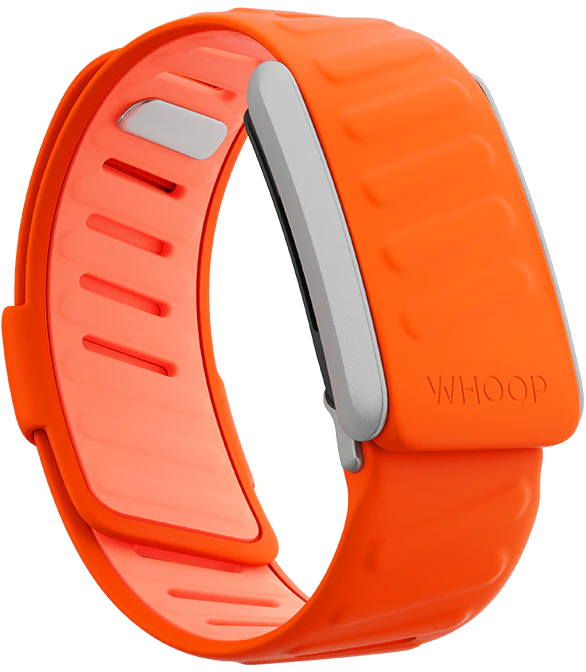 Surge SportFlex Band